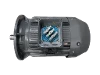 PGQ 250-M 8-4 IEC-Drehstrom-Asynchronmotor (polumschaltbar)