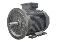 Moteur asynchrone triphas� IEC (puissance accrue) DG4 250-MP4