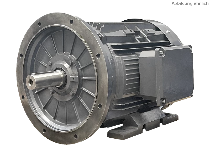 Motor as�ncrono trif�sico IEC (mayor potencia) DG3 250-MP6