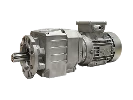 Motor se &scaron;roubovou p&rcaron;evodovkou 513A-F-180,40-63A4