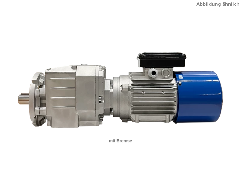 Motor se &scaron;roubovou p&rcaron;evodovkou 613A-F-165,29-63A4
