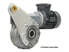 M110-20-100LB4 Schneckengetriebemotor