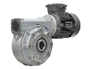 Worm gear motor M110-38-80A4