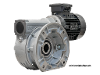 M110-64-80A4 Schneckengetriebemotor