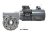 M110-84-71A4 Schneckengetriebemotor