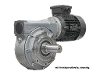 M110-99-71A4 Schneckengetriebemotor