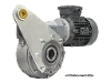 M110-99-71A4 Schneckengetriebemotor