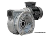 M110-99-71A4 Schneckengetriebemotor