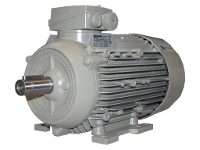 Motore asincrono trifase IEC 1LE1003-0BB22-2AB4