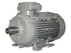 1LE1003-0BB22-2AB4 IEC-Drehstrom-Asynchronmotor