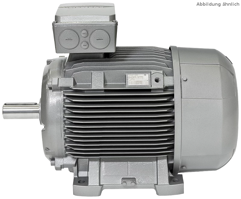 IEC three-phase asynchronous motor 1LE5504-3AA22-2AB4